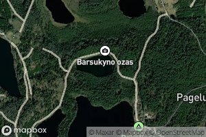 Ezeras Barsukynas