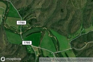 Robinson Hollow Branch