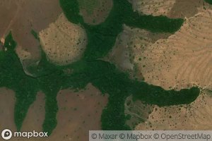 Cano Chaparro Manteco