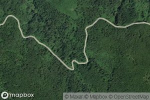 Left Fork Owens Creek