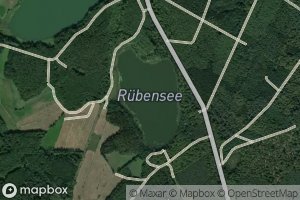 Rubensee