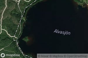 Alvasjon