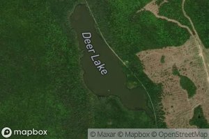 Deer Lake