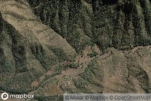 Straight Forward Creek