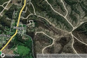Old Mogo Creek