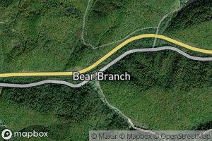 Bear Branch