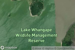 Whangape Lake