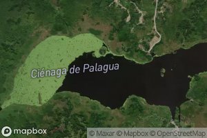 Cienaga de Palagua
