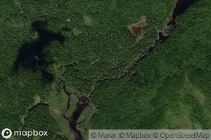 Donaldson Lake Brook