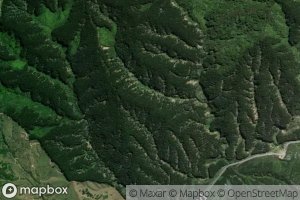 Oio Stream (West Branch)