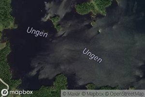 Ungen