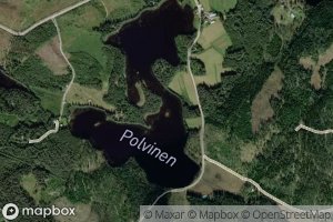 Polvinen