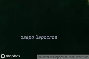 Ozero Zarosloye