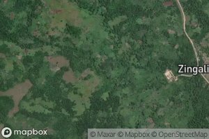 Zingila
