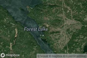 Forest Lake