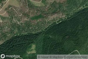 East Fork Downey Creek