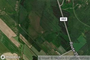 Branche Machildon-Bedard