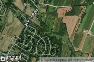 West Branch Marsh Run