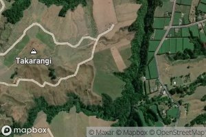 Ohineangaanga Stream