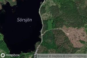 Sorsjon