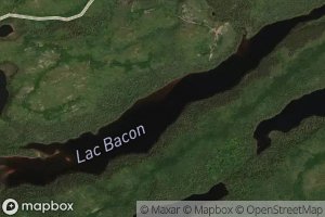 Lac Bacon