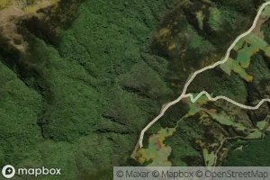 Waikouaiti River South Branch