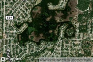 Weekiwachee Prairie Lake