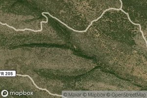 Little Kayser Spring