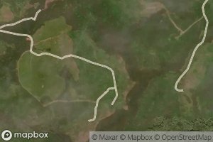 Little Branch Cox Brook