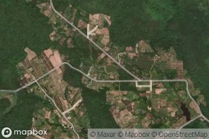 Sa Nam Ban Dan Ngo 3