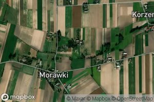 Morawki