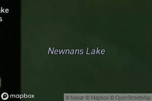 Newnans Lake