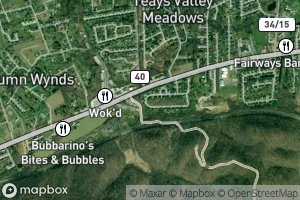 Lois Umberger Spring