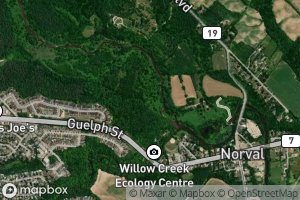 Credit River West Branch