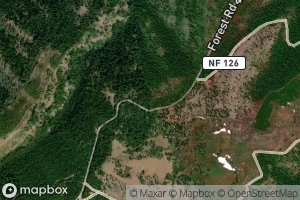 Fourth of July Spring