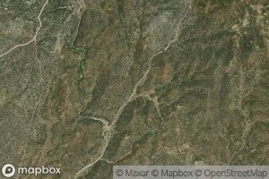 Canada Las Codornices