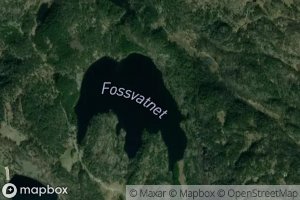 Fossvatnet