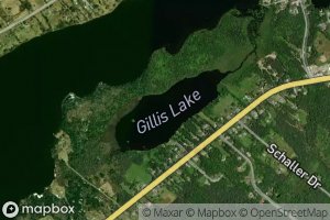 Gillis Lake