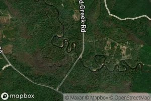 Flurry Mill Pond Branch