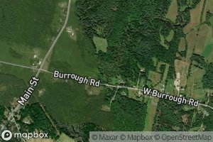 Little Gillespie Brook