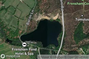 Frensham Great Pond