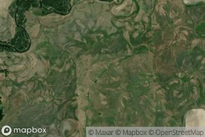 Bush and Holliday Ditch