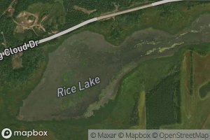 Rice Lake