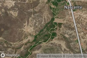 Riacho Carnauba Amarela