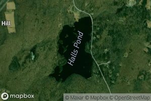 Halls Pond