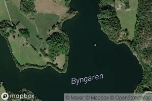 Byngaren