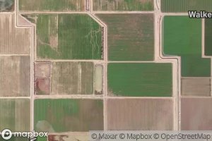 Trifolium Fourteen Drain