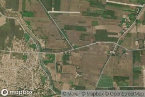 Distributary Number Seven