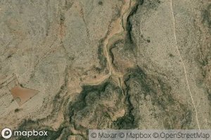 Barranca Tuna Amarilla