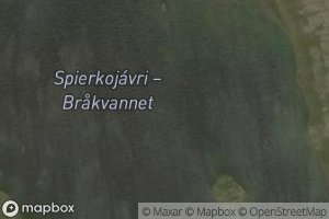 Spierkujavri